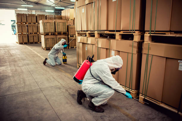 Best Affordable Pest Control Services  in Pasadena Hills, MO