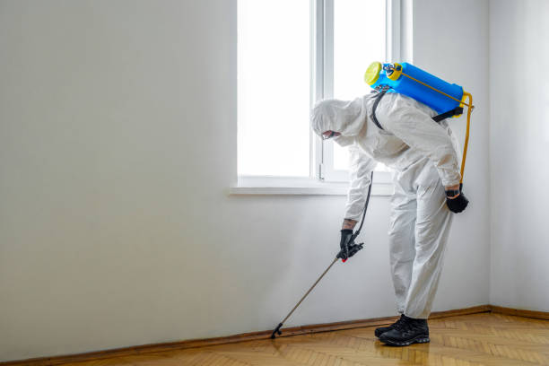 Insect Control in Pasadena Hills, MO