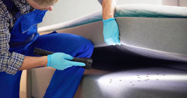Best Bed Bug Extermination  in Pasadena Hills, MO