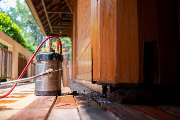 Best Affordable Pest Control Services  in Pasadena Hills, MO