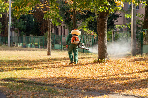 Best Pest Control Near Me in Pasadena Hills, MO